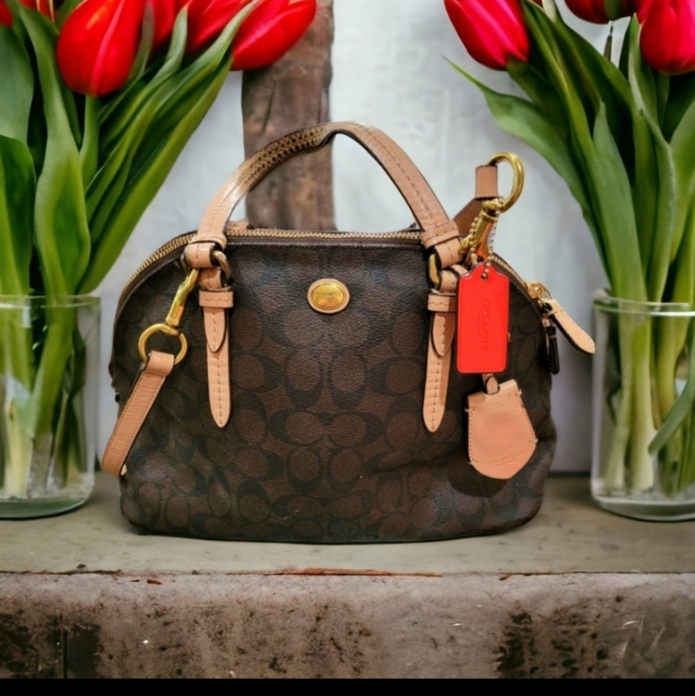 Coach Coated Brown Leather Purse